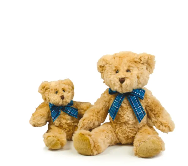 Peluche ours Bracken porté — vue 2