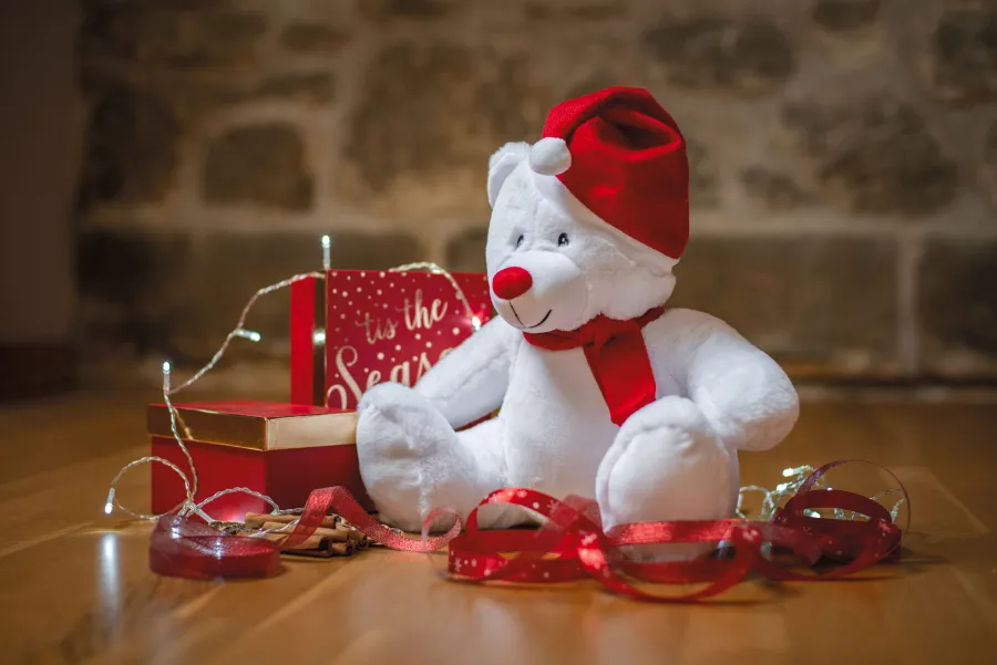 Peluche zippée ours de Noël — Mumbles personnalisable
