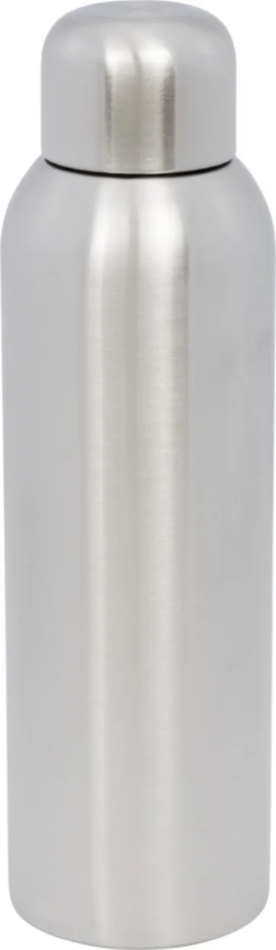 Bouteille de sport 820ml Guzzle coloris argent