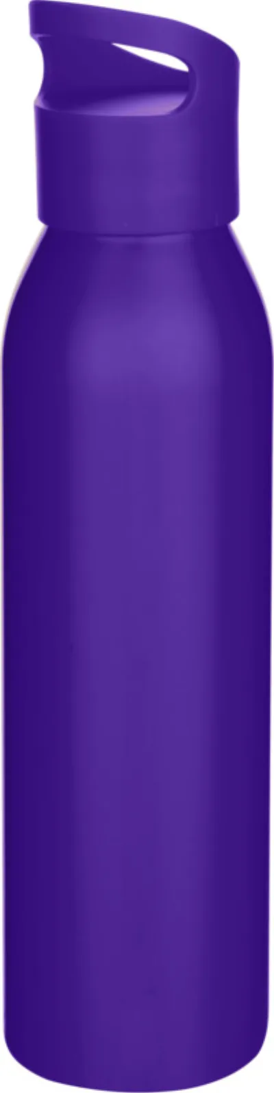 Bouteille Sky 650 ml coloris violet moyen