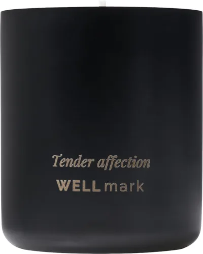 Bougie parfumée Wellmark coloris noir